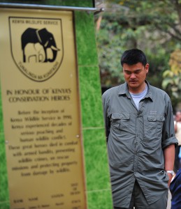 Der Tierschutz ist für Yao Ming eine Herzensangelegenheit (Foto: Getty Images. Titelbild: Getty Images)