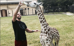 Gortat