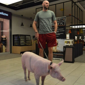 Gortat