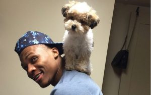 Westbrook